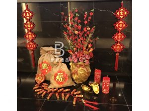 新年佈置 盆花
