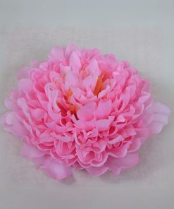 牡丹花