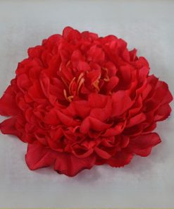 牡丹花