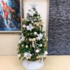 聖誕佈置